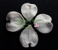 Preview: Dogwood Petal Veiner Set Large By Simply Nature Botanically Correct Products®